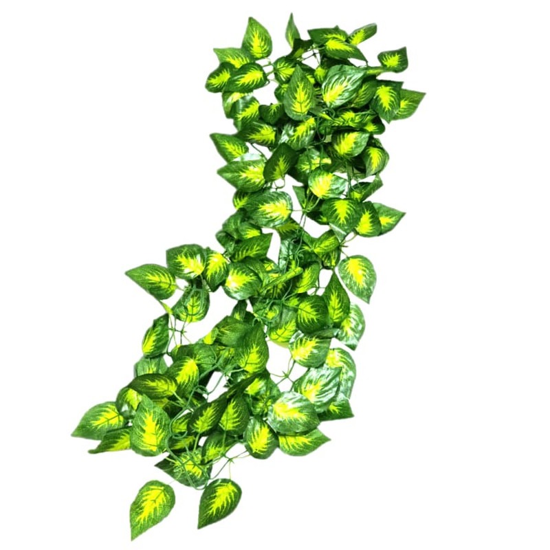 ریسه برگ مصنوعی مدل پتوس ابلق 